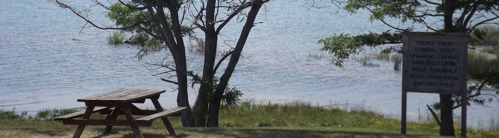 Photo of picnic table at Colpoy's Dock