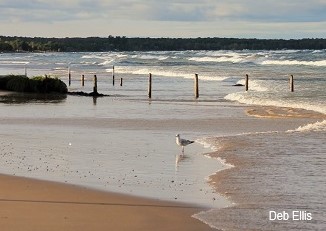 Image of Sauble Beach by Deb Ellis