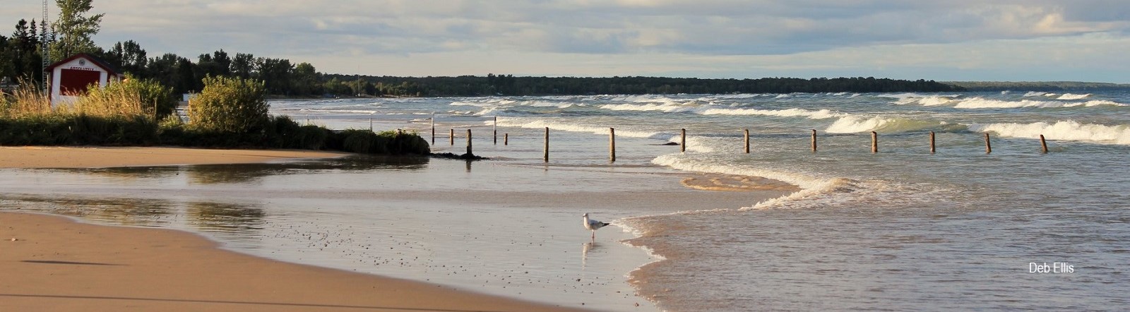 Photo of Sauble Beach by Deb Ellis