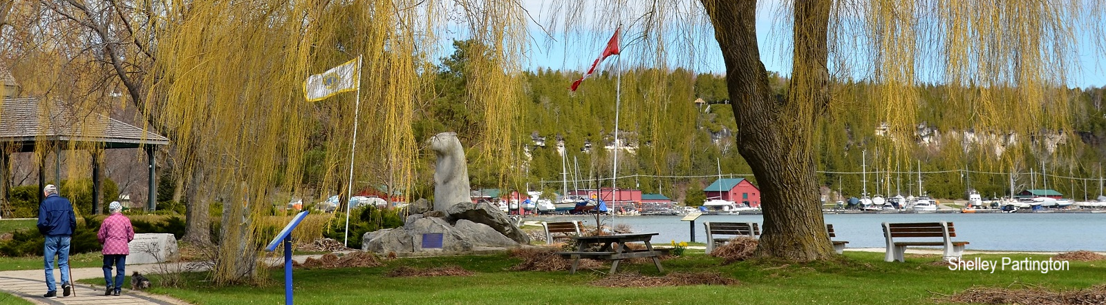 Photo of Bluewater Park by Shelley Partington