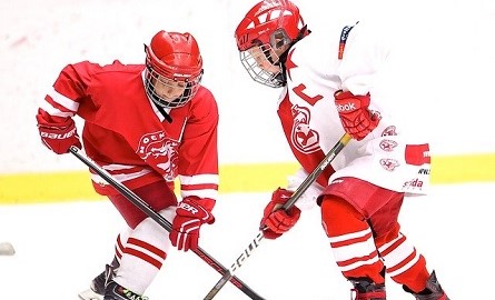 Image by LuckyLife11 from Pixabay of children playing hockey