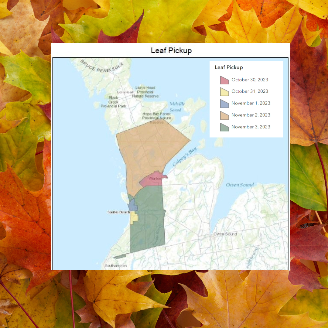 Bagged Leaf Map