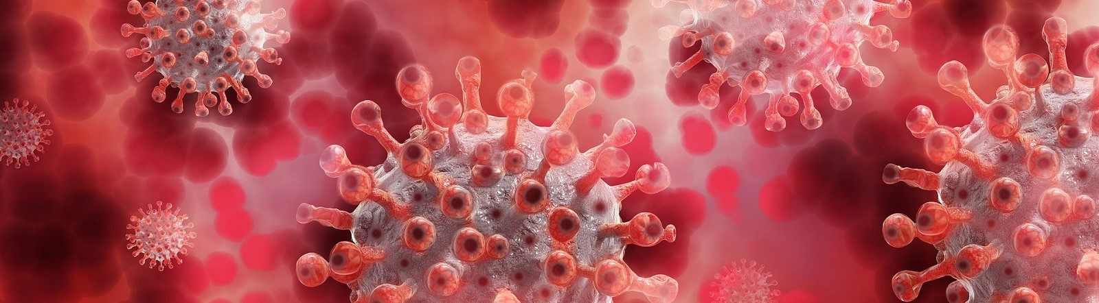 Image by Gerd Altmann from Pixabay of Coronavirus