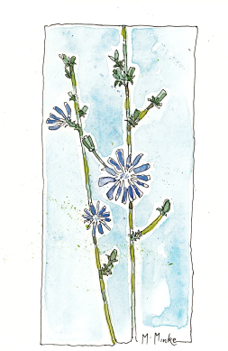 Sample of Water Colour Card