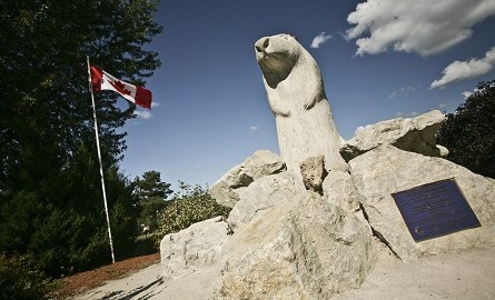 Photo of Wiarton Willie Statue